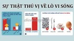 Lịch sử hình thành và những điều cần biết về lò vi sóng